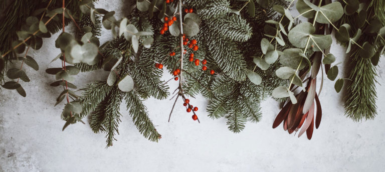 Bilde av granbar, julestemmning